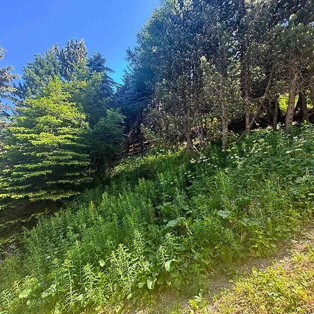4 Pers. Aux Menuires, Animaux Admis - Fr-1-452-7 Apartmán *